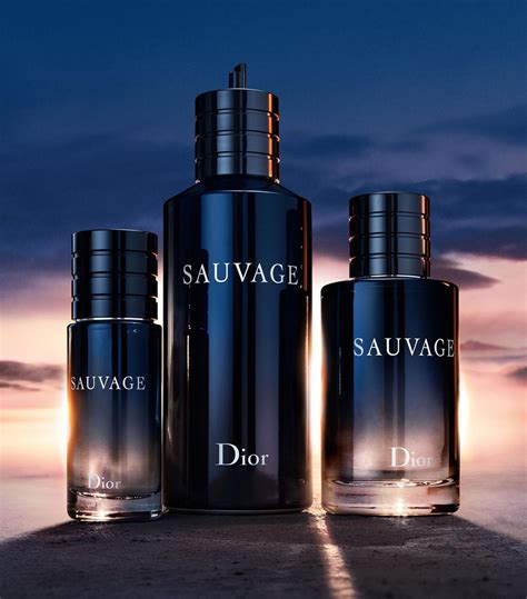 sauvage dior 100 m|Dior Sauvage cheapest price.